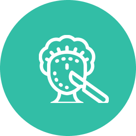 Plastic & Aesthetic Surgery